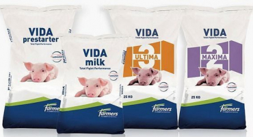 Jaké vitamíny podávat selatům pro rychlý růst?